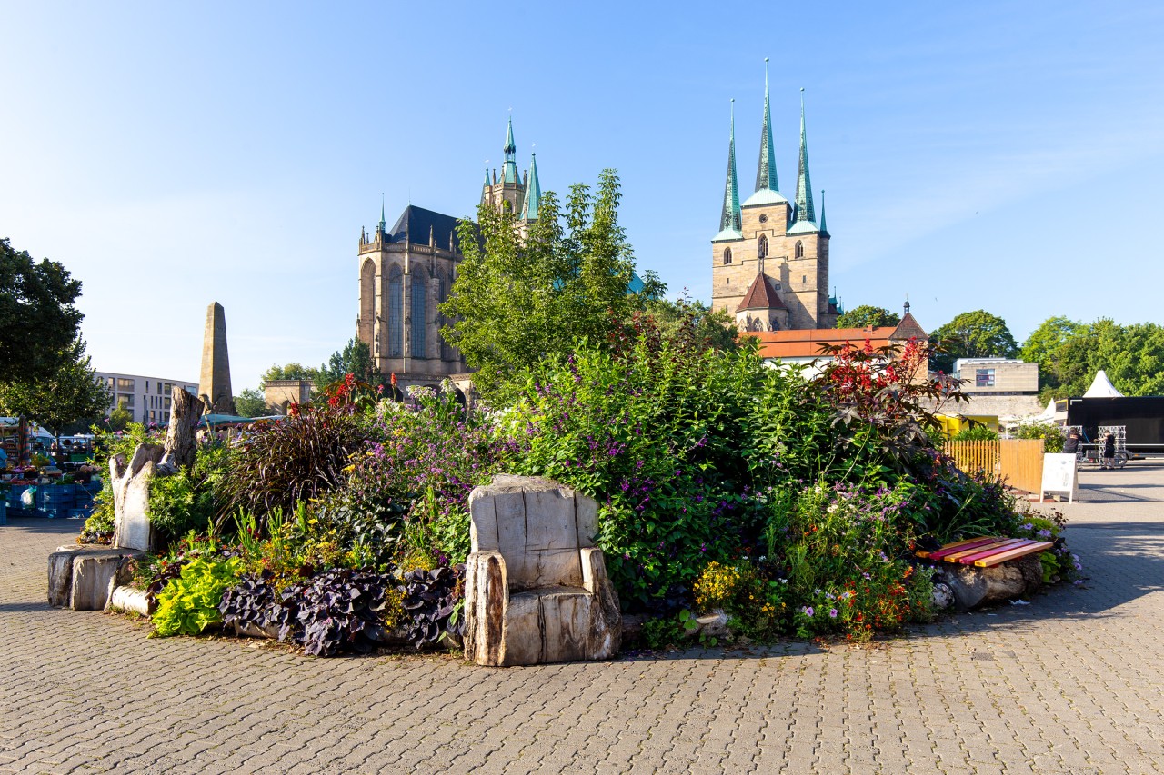 Das bunte Blumenbeet am Domplatz wird abgebaut. 