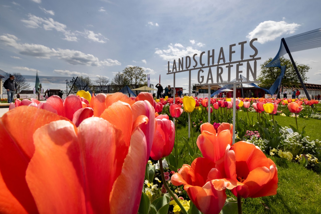 Wer einen Spaziergang im Landschaftsgarten Buga Erfurt machen möchte, muss genesen, geimpft oder negativ getestet sein. 