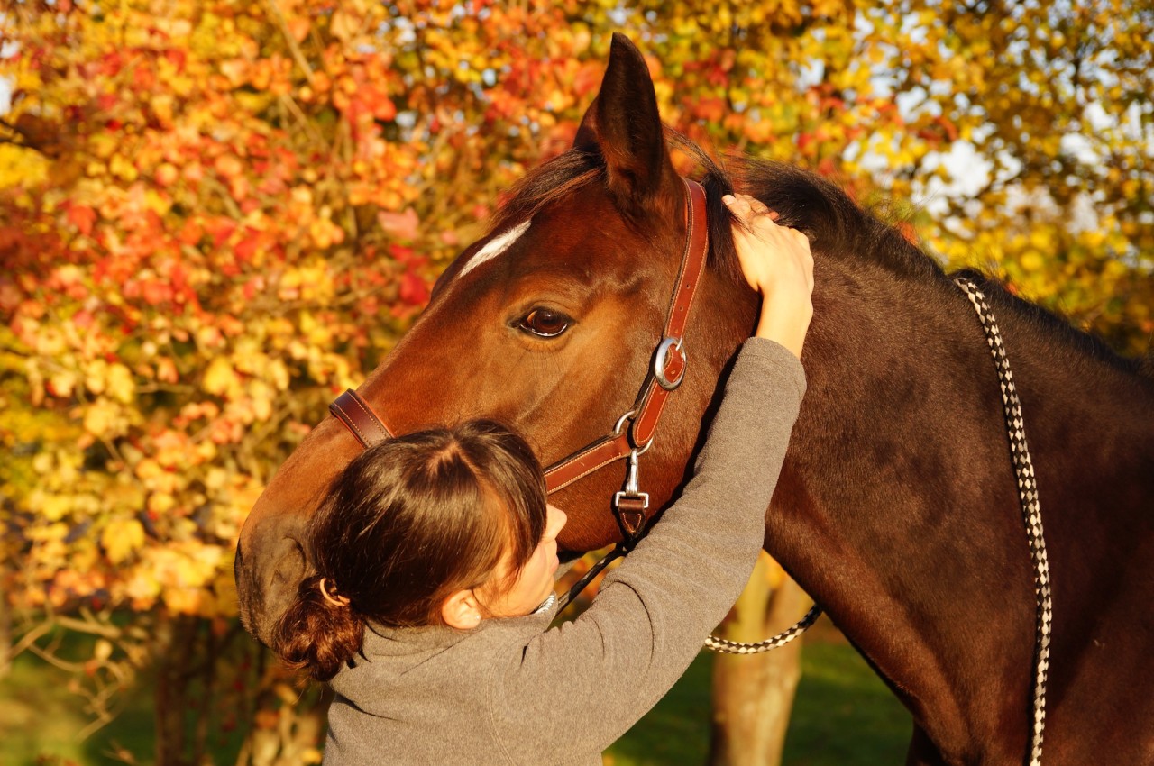 Nach ihrer Weiterbildung zur Veterinärchiropraktorin kann Dr. Maria Freiburger Vierbeinern mit Blockaden auch über die Schulmedizin hinaus helfen.