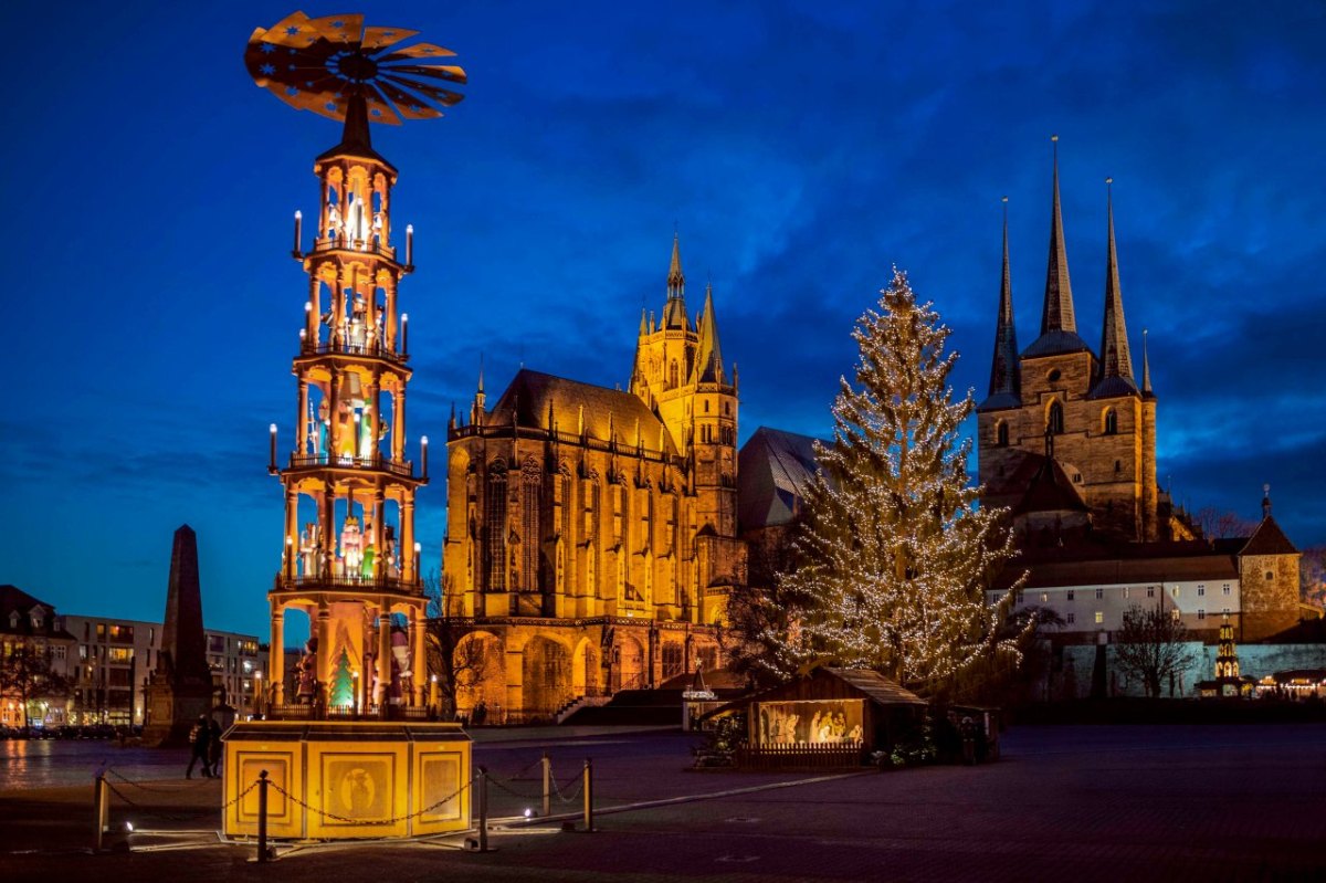 Erfurt Domplatz Weihnachtsbaum.jpg