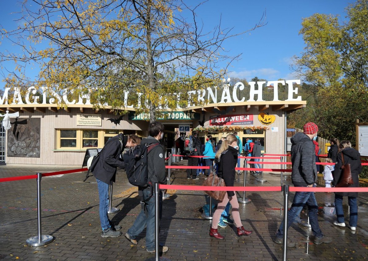 Erfurt-Zoo-Magische-Lichternächte.jpg