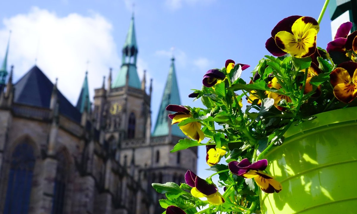 Erfurter Altstadtfrühling 2018