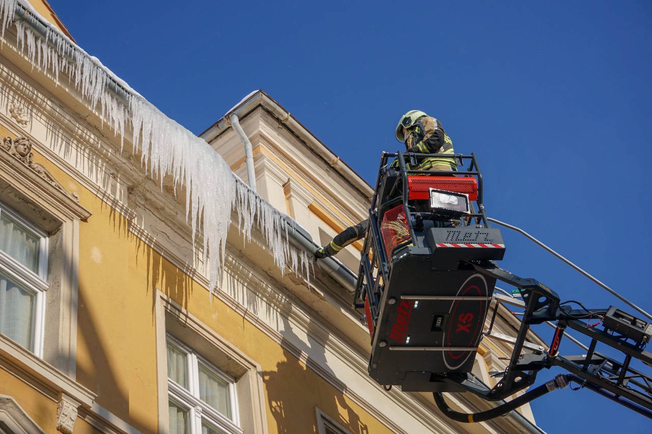 Vorsicht vor herunterfallenden Eizapfen! Eigentlich ist es aber nicht die Aufgabe der Feuerwehr, diese zu entfernen.