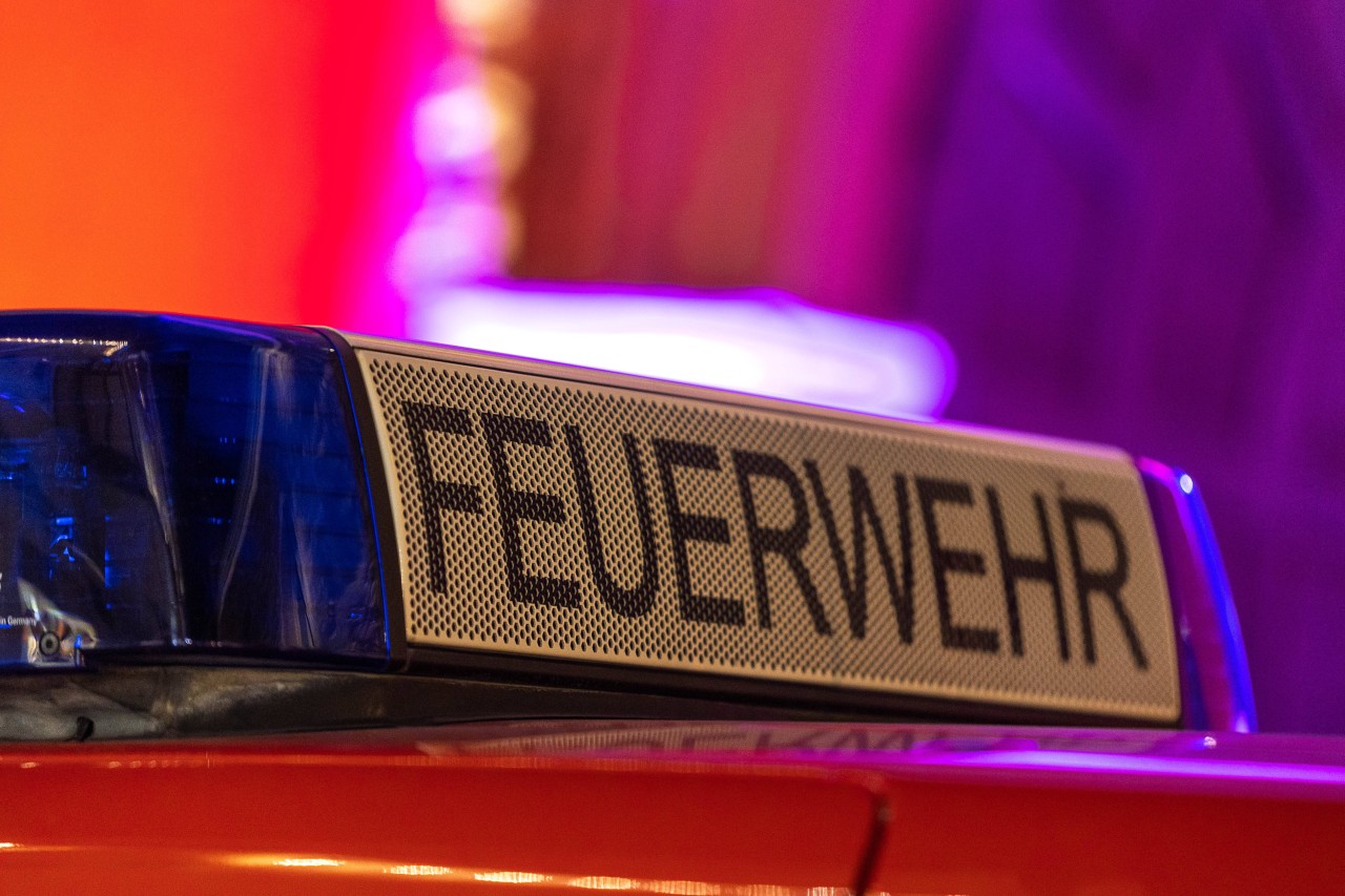 Die Feuerwehr rückte für außergewöhnliche Rettungsaktion aus.