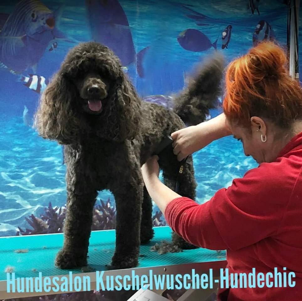 Hundesalon Erfurt.jpg