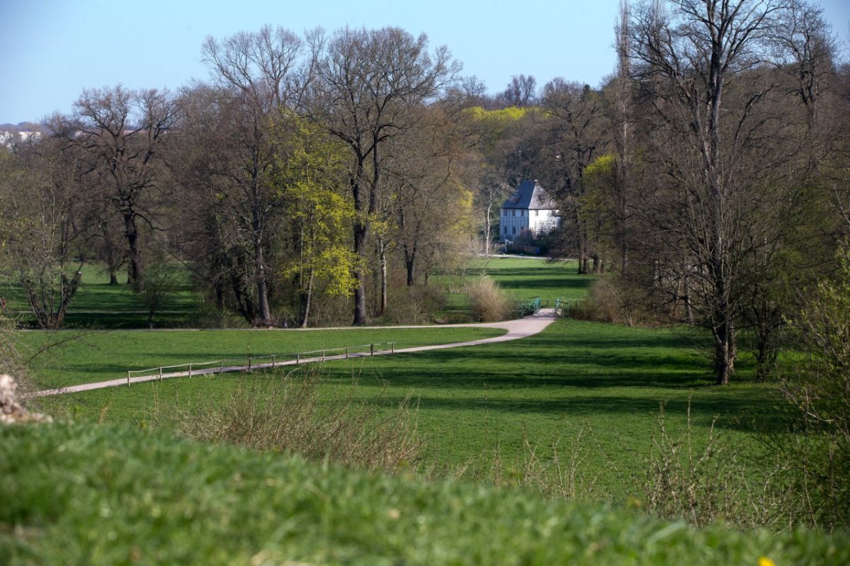 Ilmpark Weimar.jpg