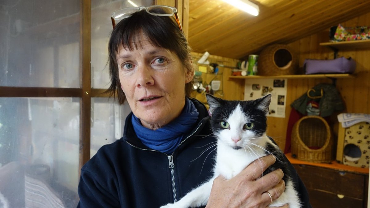 Juliane Lukas mit einer einjährigen Fundkatze Tierschutzverein Jena