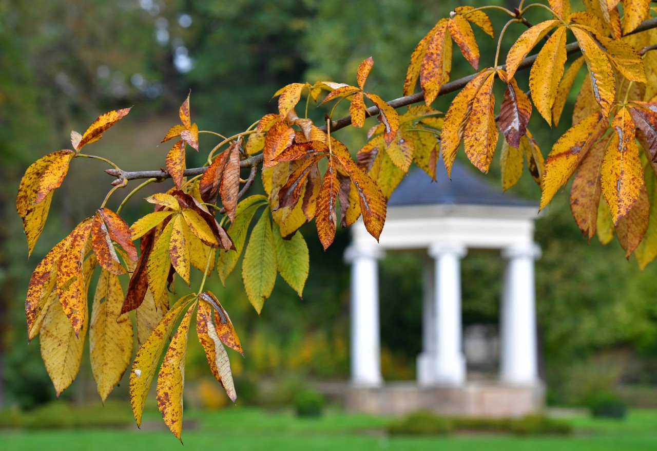 Der Musentempel im Park Tiefurt in Weimar. Seit 1998 gehören Schloss und Park Tiefurt zum UNESCO-Welterbe. Kritiker der Variante 1 sehen diesen Titel durch die Ostumgehung gefährdet.