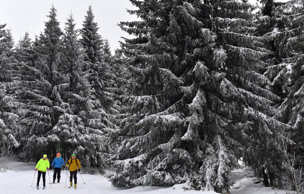 Skifahrer im Thüringer Wald