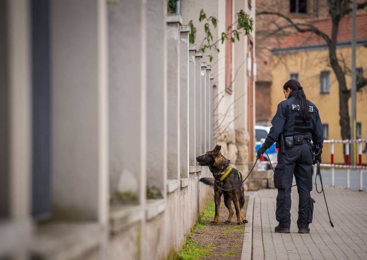 Spürhund vermisst Suche Fahndung.jpg