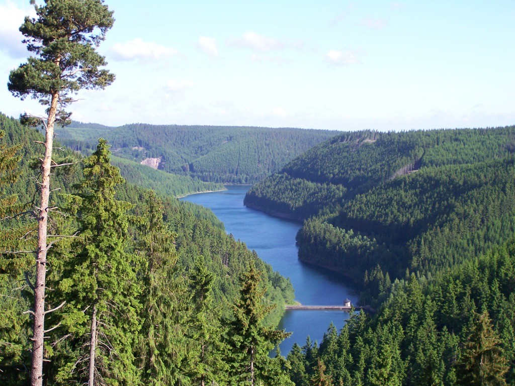 Der Thüringer Wald.