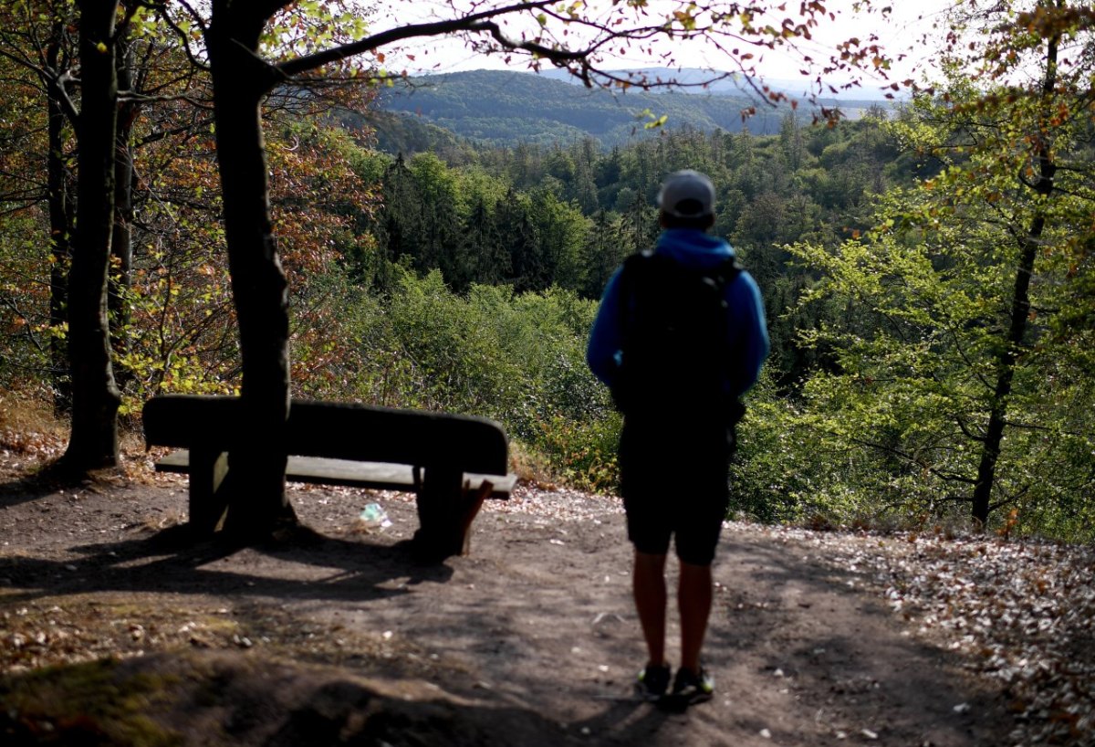 Thüringer-Wald