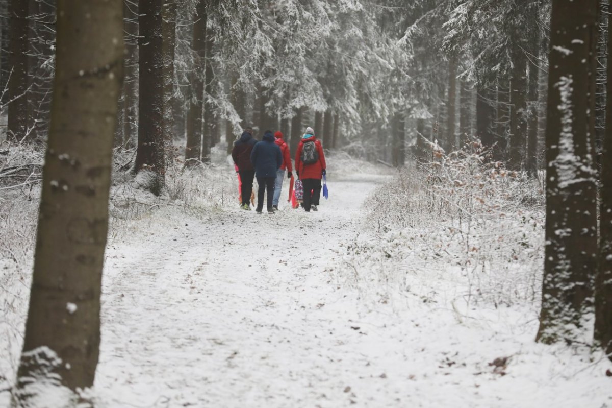 Thüringer-Wald-Schnee