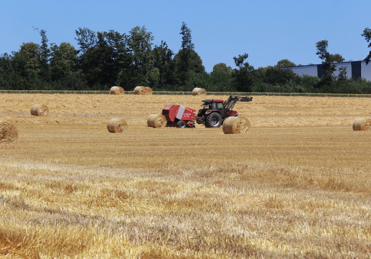 Traktor bei der Ernte