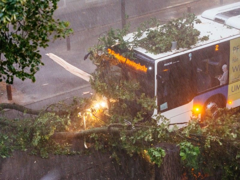 Am Freitag (17.08.2018) ist ein Unwetter über Teile Thüringens gezogen, besonders betroffen war unter anderem Weimar.