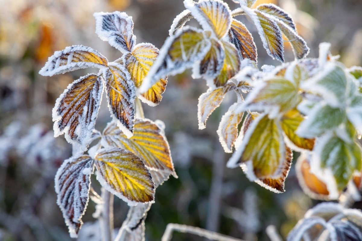 Wetter in Thüringen