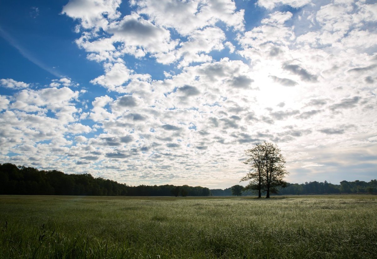 Wetter in Thüringen Sommer warm 20 Grad wie wird das wetter Erfurt