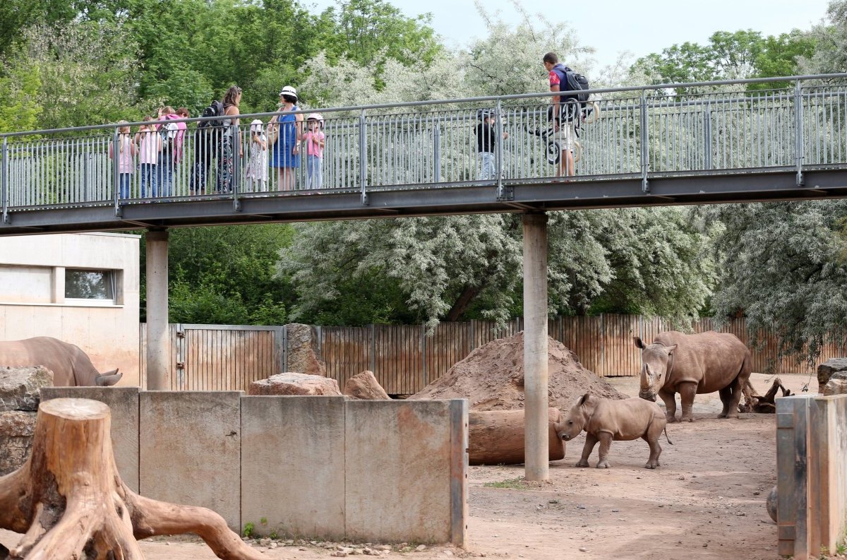 Zoo-Erfurt