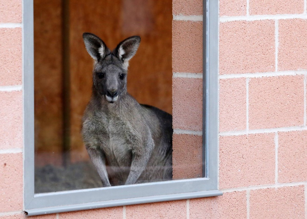 Zoo Erfurt