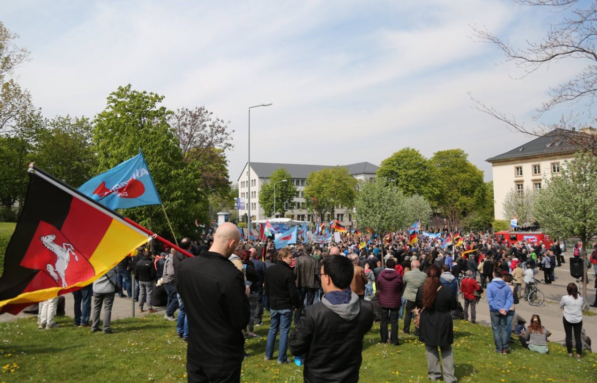 afd-demo-erfurt-1-mai