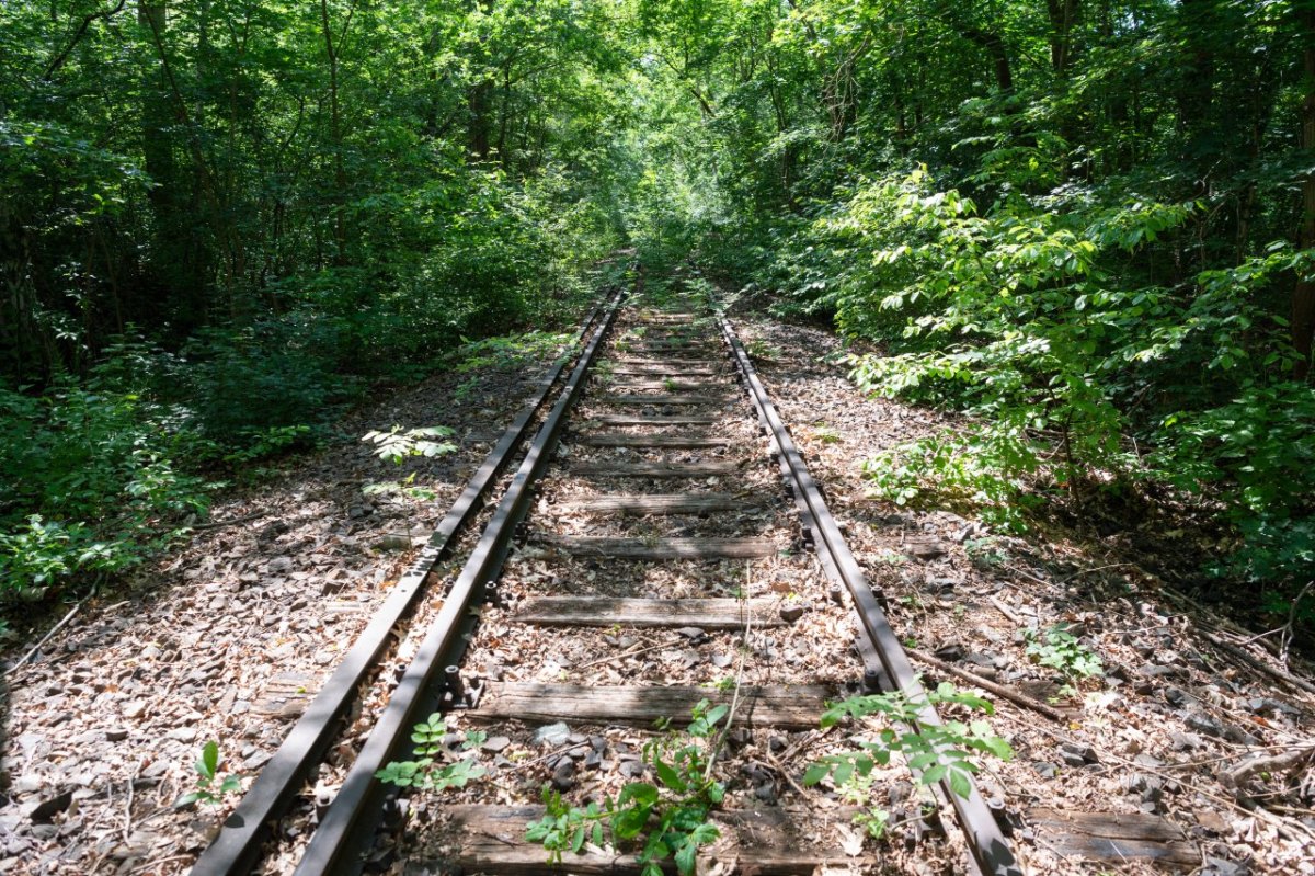 bahn thüringen werrabahn höllentalbahn