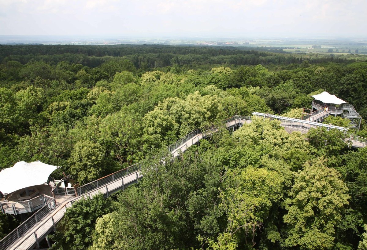 baumkronenpfad-nationalpark-hainich