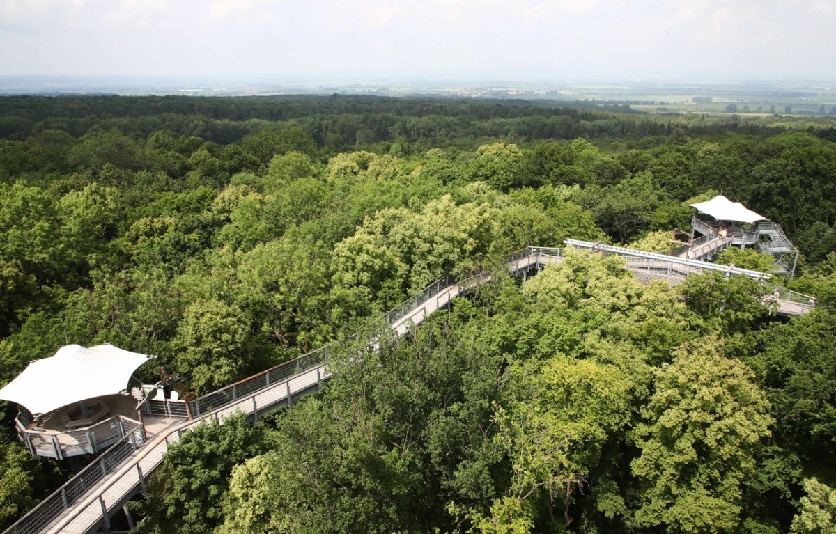 baumkronenpfad-nationalpark-hainich