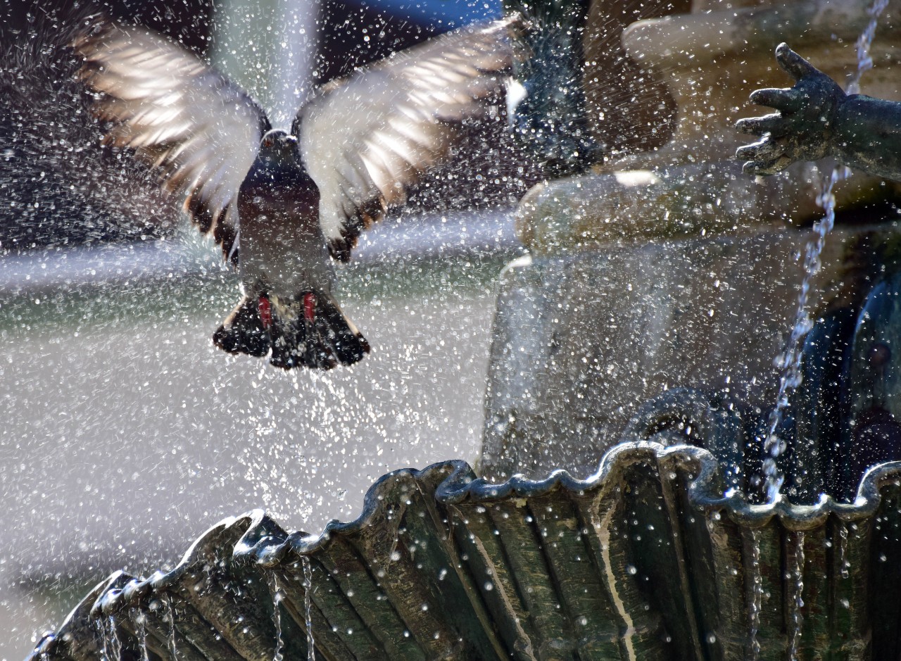 Erfurt: Der neue Angerbrunnen war plötzlich voll mit Schaum. (Symbolbild)