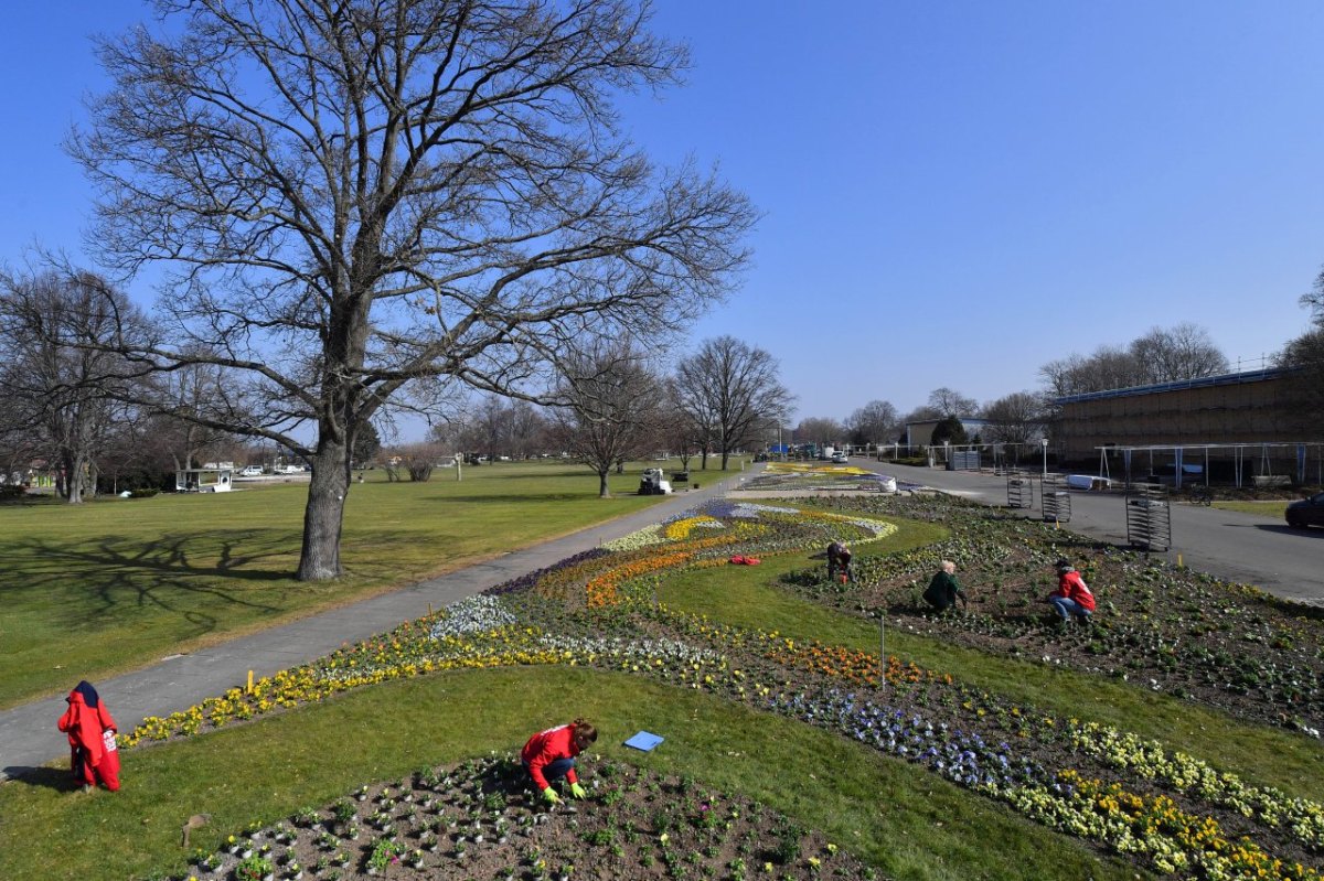 egapark Erfurt.jpg