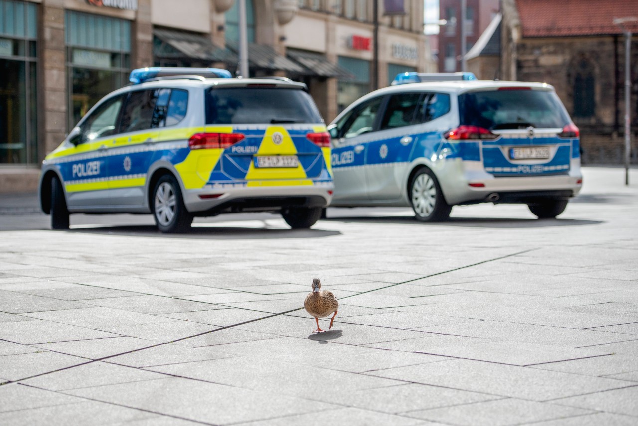 Die Polizei Erfurt hatte am Samstag einen Einsatz mitten in einem Schaufenster. (Symbolbild)