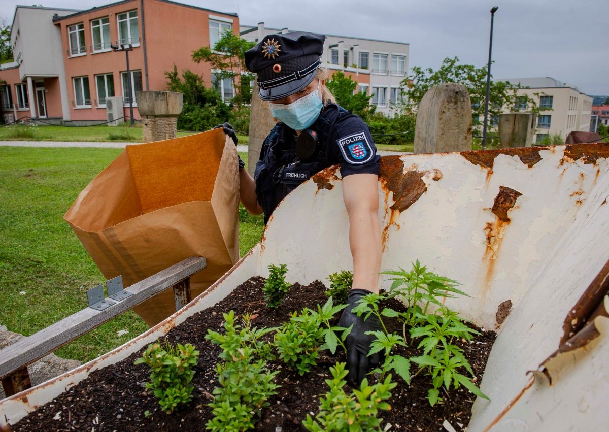 erfurt buga polizei hanf.jpg