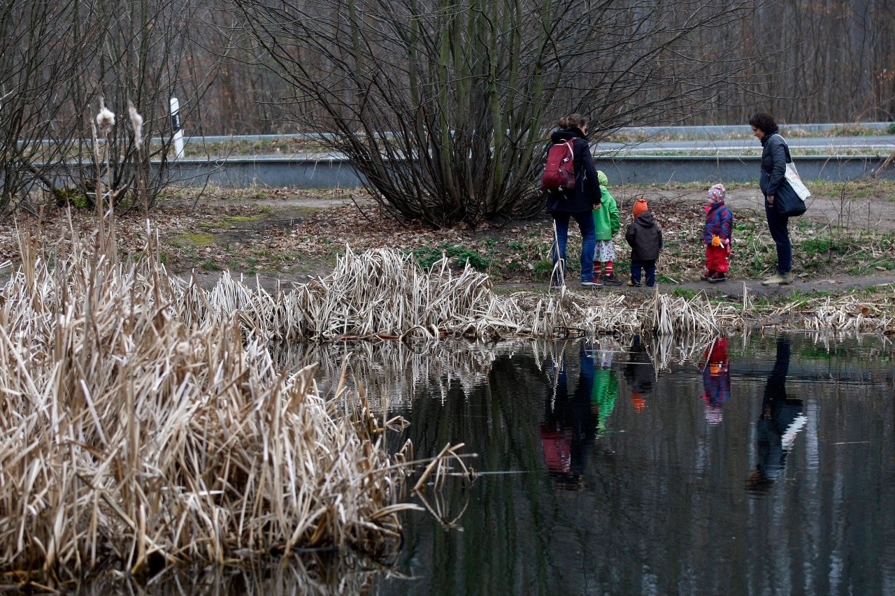 Der Steigerwald in Erfurt ist idyllisch, doch mancherorts scheint dieses Bild getrübt. (Archiv)