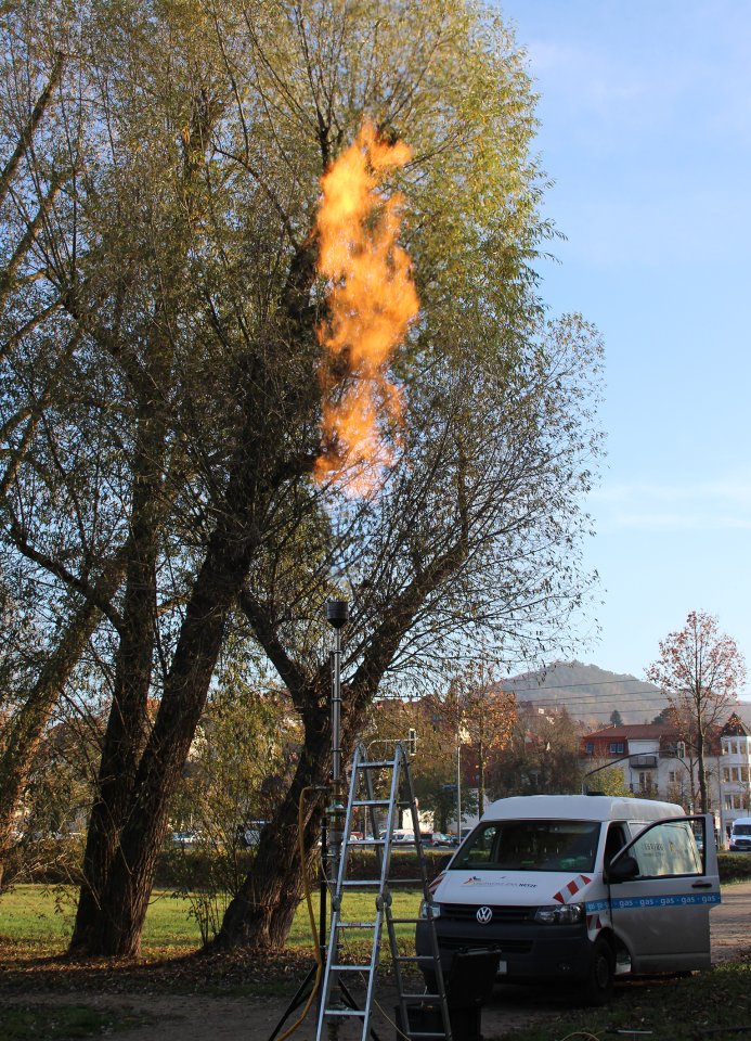 jena flamme Stadtwerke Jena paradies