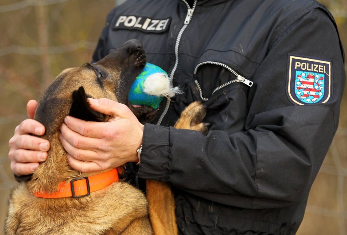 leipzig hund diensthund.jpg