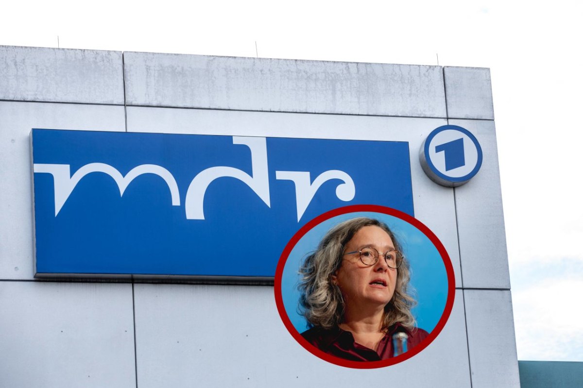 mdr logo collage.jpg