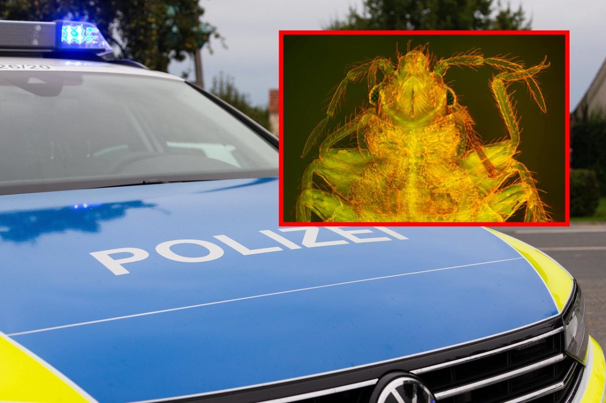 polizeiwanze.jpg