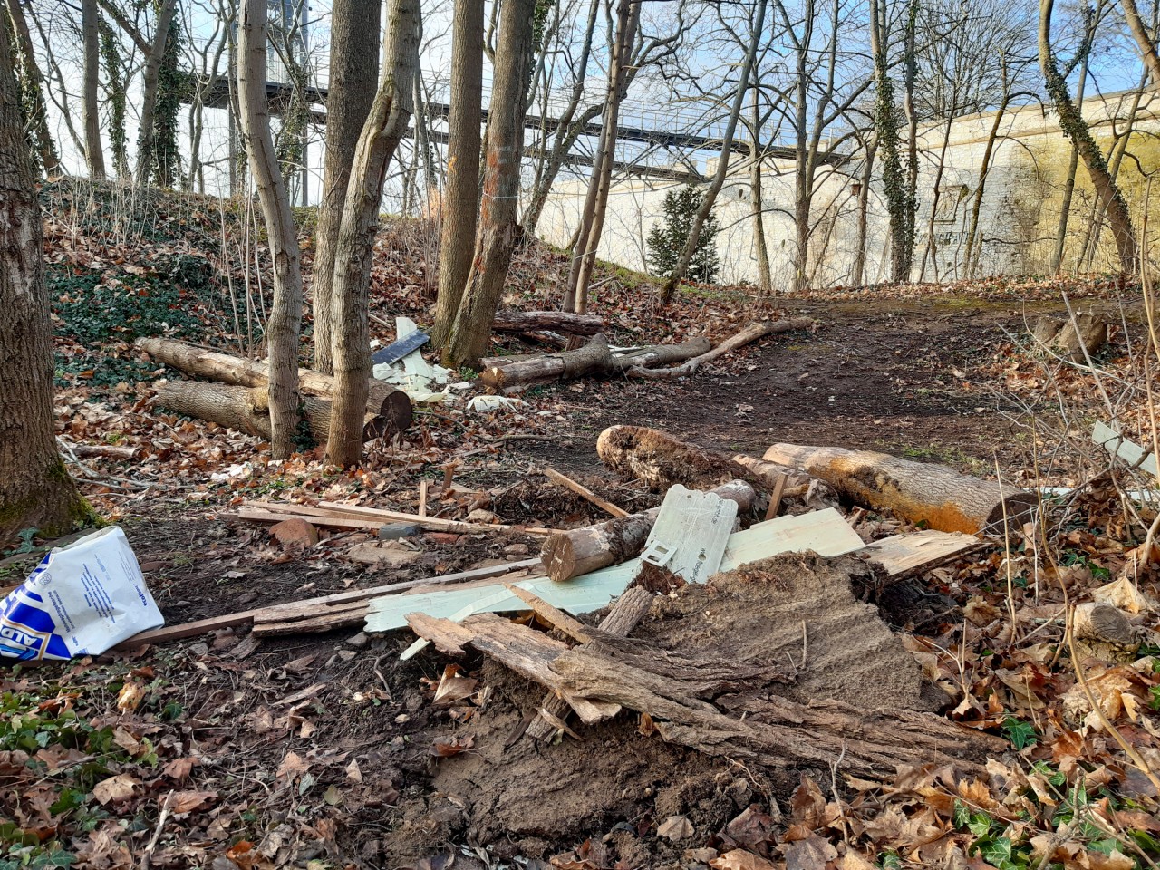 In einem Waldstück auf dem Petersberg haben Unbekannte eine Spur der Verwüstung hinterlassen.