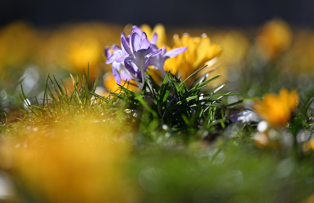 wetter in thüringen frühling.jpg