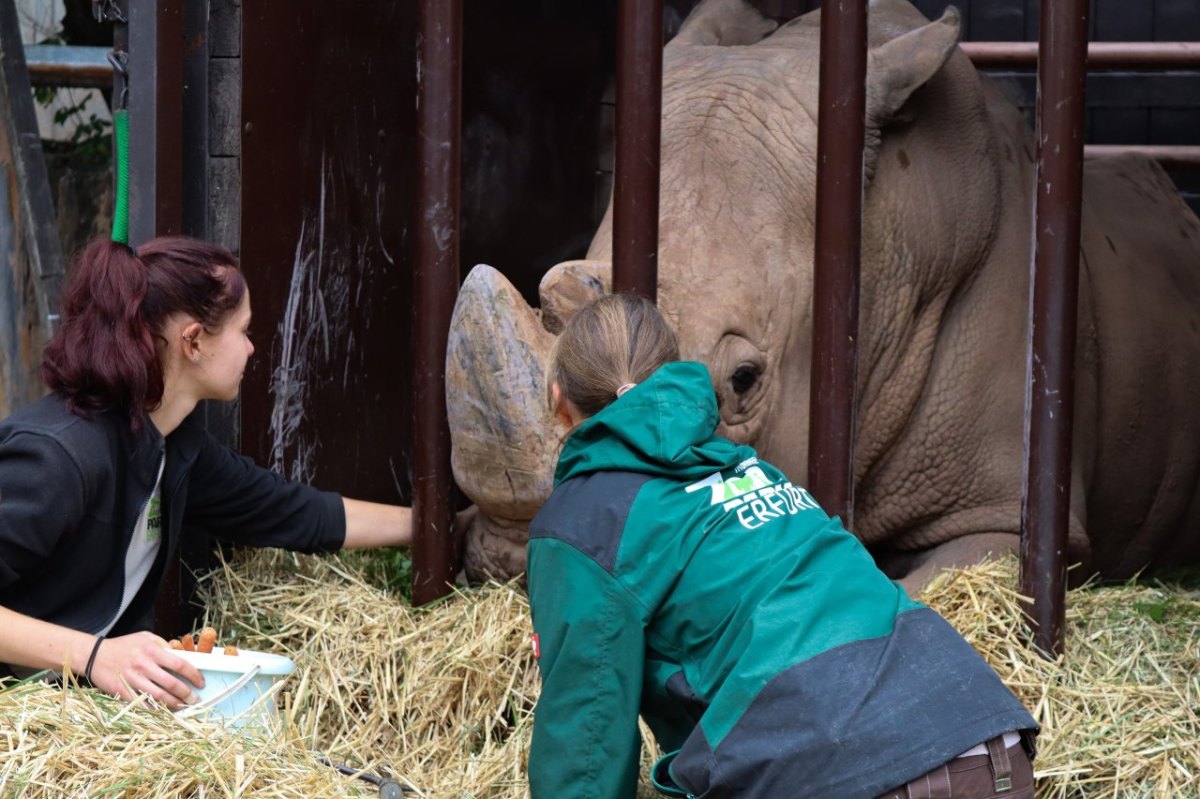 zoo erfurt 3.jpg