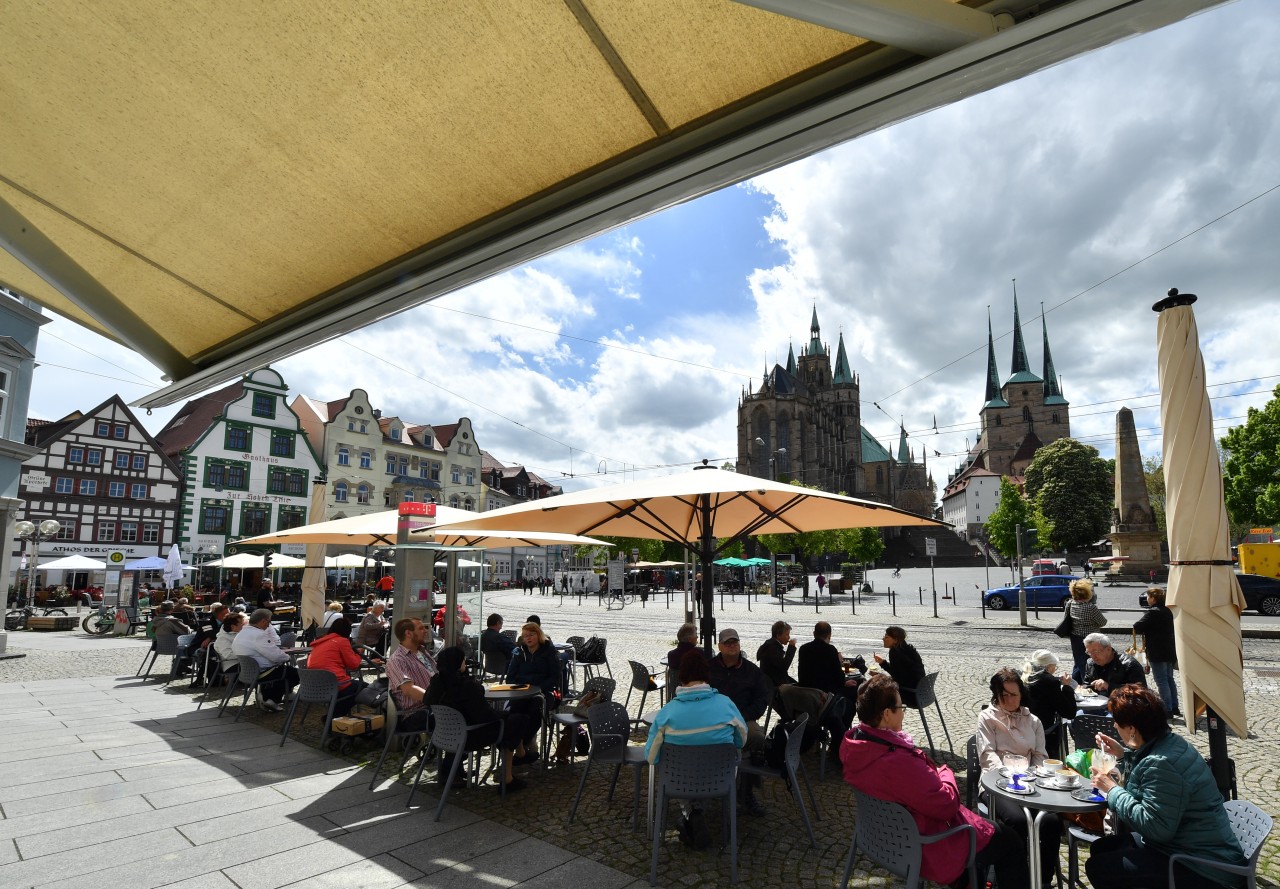 Immer wieder stößt die Behauptung, Erfurt sei keine Großstadt, bei den Puffbohnen mies auf. (Archivbild)