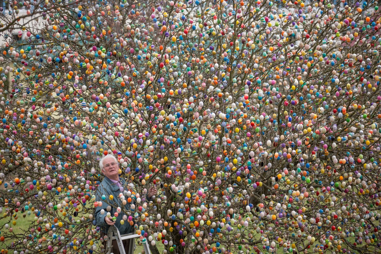 Der Oster-Baum eines Ehepaares aus Saalfeld begeisterte die Menschen bis ins Jahr 2015. (Archivbild)