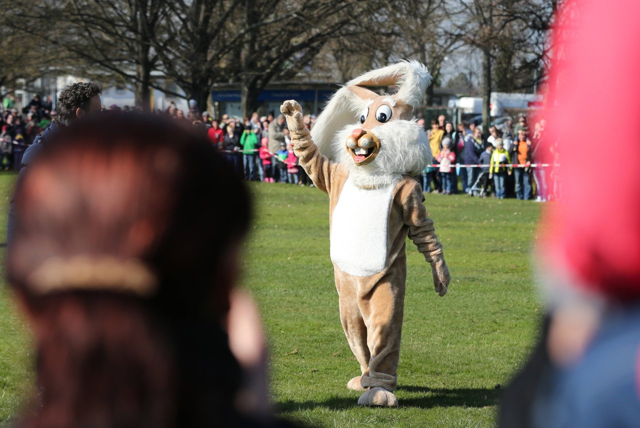 Dieses Jahr kommt der Osterhase gleich zwei Tage in den Egapark Erfurt. (Archivbild)