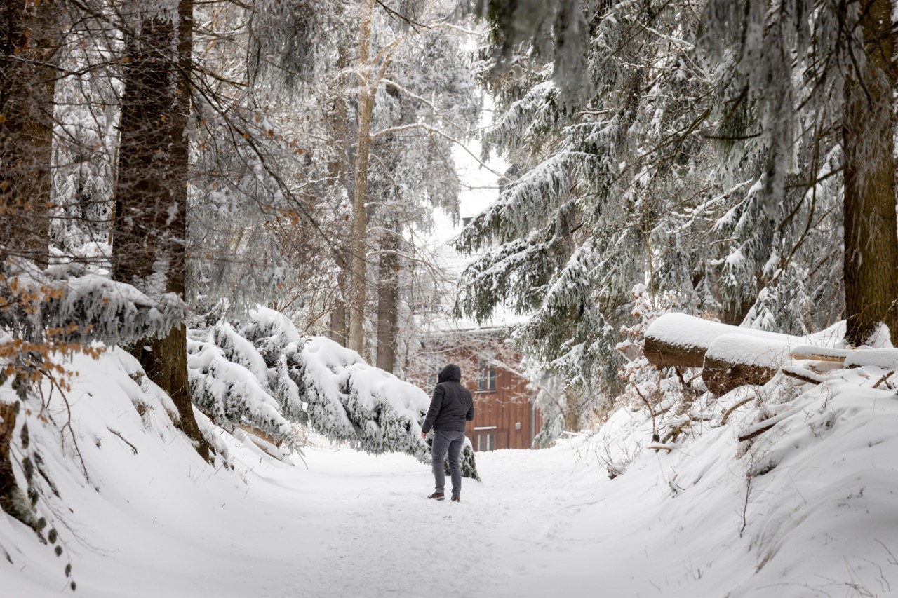 Anfang April und Schnee? Bekanntlich macht der ja auch was er will: Und genau so sieht das Wetter auch in Thüringen zum Wochenstart aus. (Archivbild)