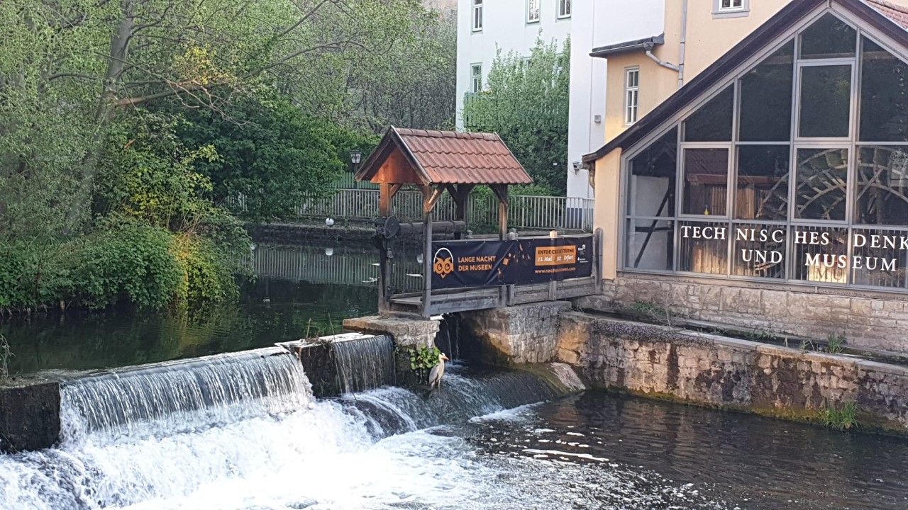 Suchbild: Kannst du den Ehrenbürger aus Erfurt finden?