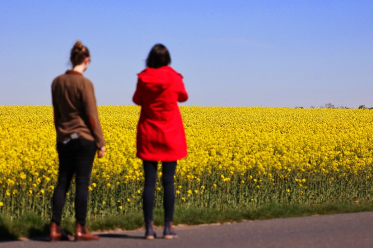 Heiligenstadt frauen raps