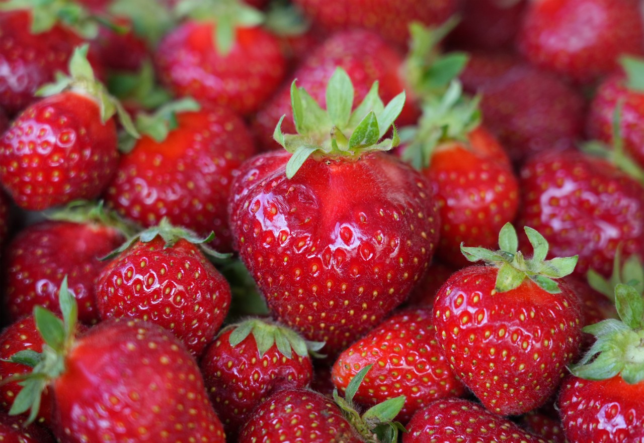 Qualität hat seinen Preis? In Erfurt sorgen die Erdbeeren gerade für heftige Diskussionen. (Symbolbild)