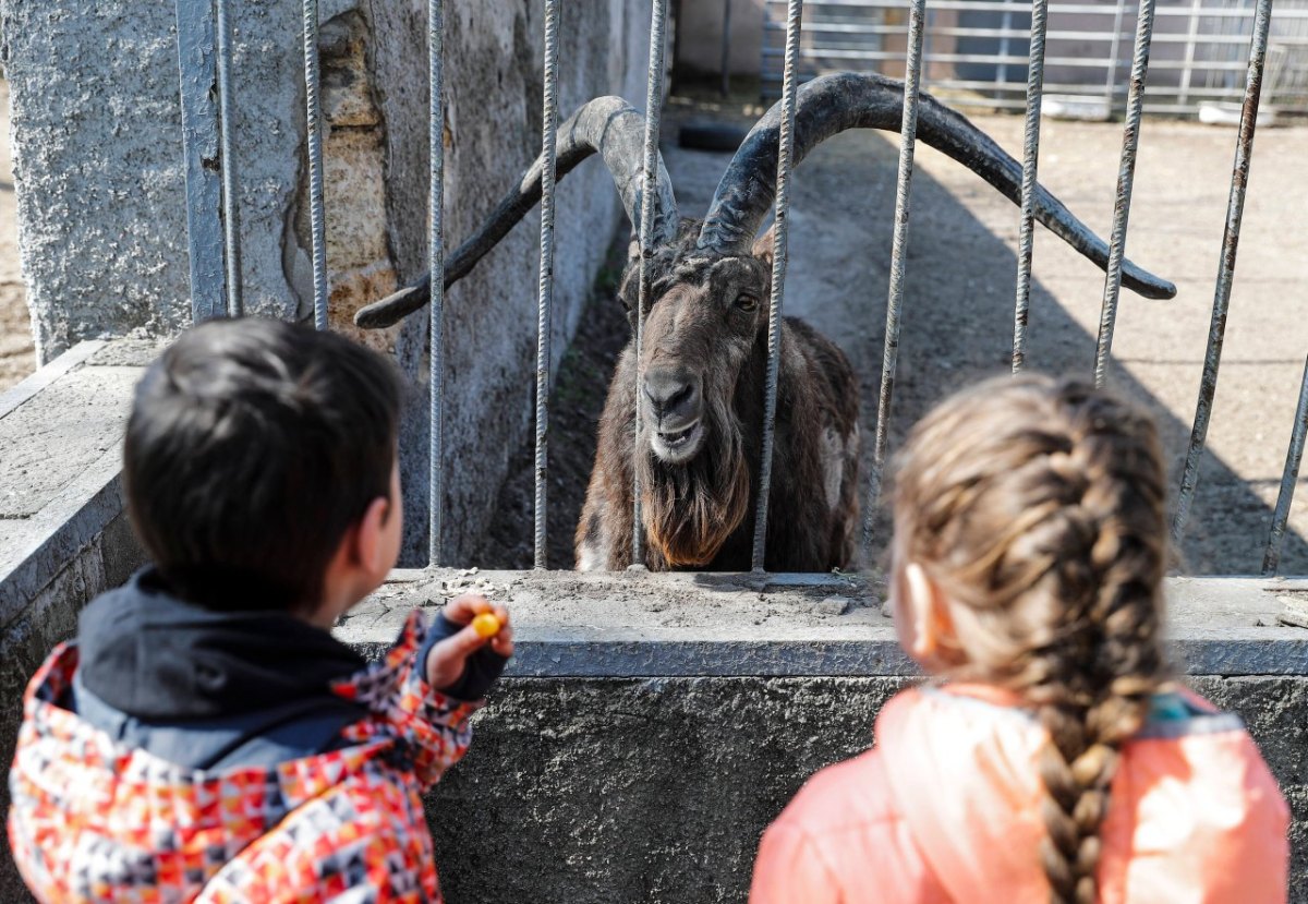 Zoo Erfurt.jpg