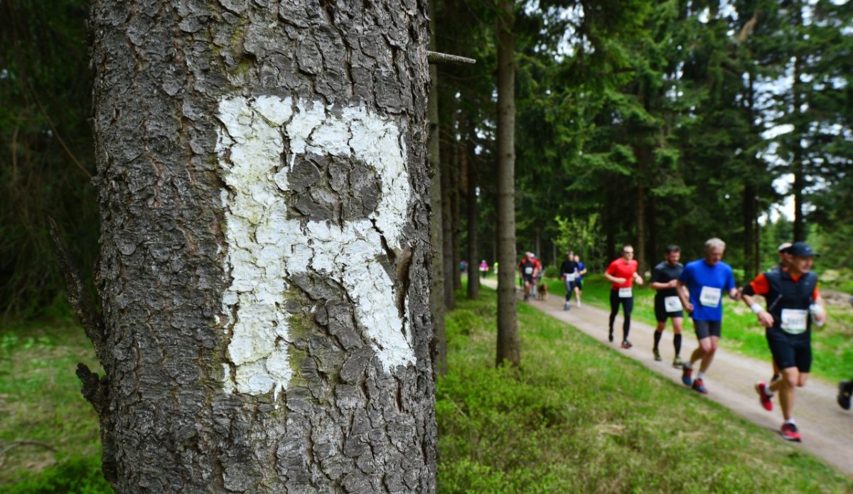 thüringen rennsteiglauf.jpg