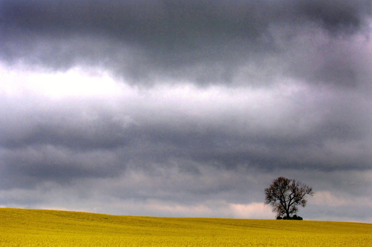 In Thüringen ist es heiß, das Wetter wird dennoch etwas ungemütlich (Symbolbild).