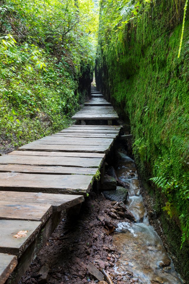 drachenschlucht eisenach.jpg